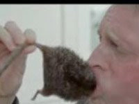 Was a Rat Harmed in the Filming of This Pfizer Commercial?