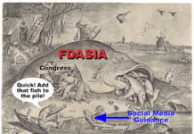 My Prediction for 2013: No Social Media Guidance from FDA