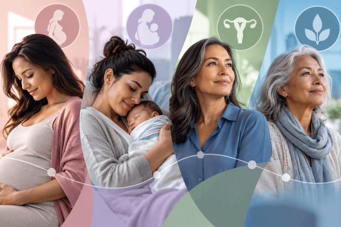 Women at different life stages, from pregnancy and postpartum motherhood to menopause and healthy aging, illustrating personalized healthcare marketing.
